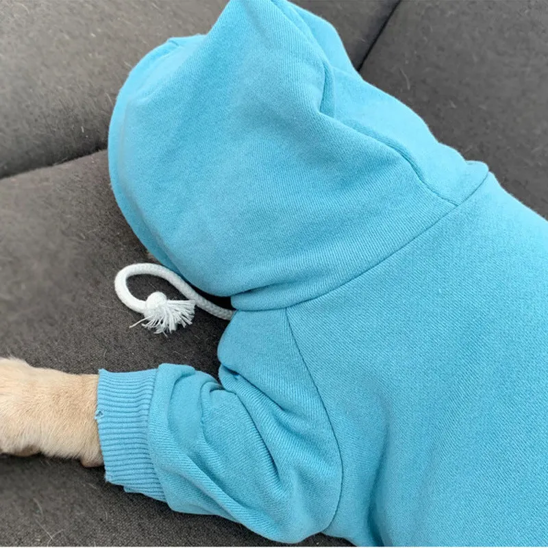 Small Dog Trendy Brand Plus Fleece Hooded Sweater